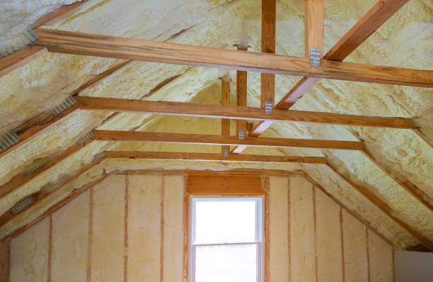 Best Types of Insulation in Anza, CA