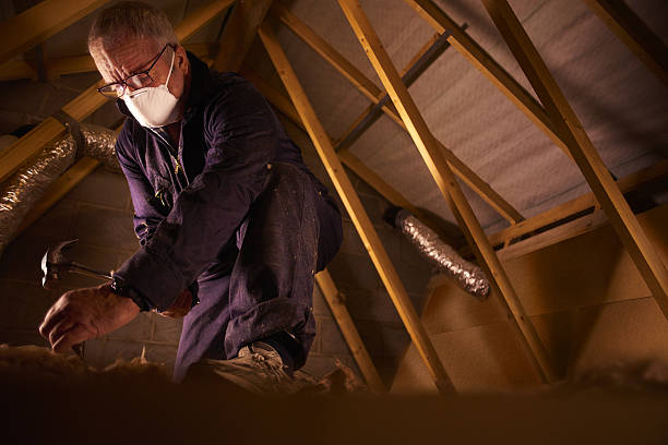 Best Insulation Installation Services in Anza, CA