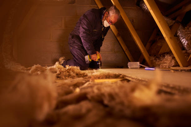 Best Residential Insulation in Anza, CA