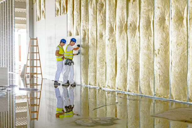 Best Commercial Insulation in Anza, CA